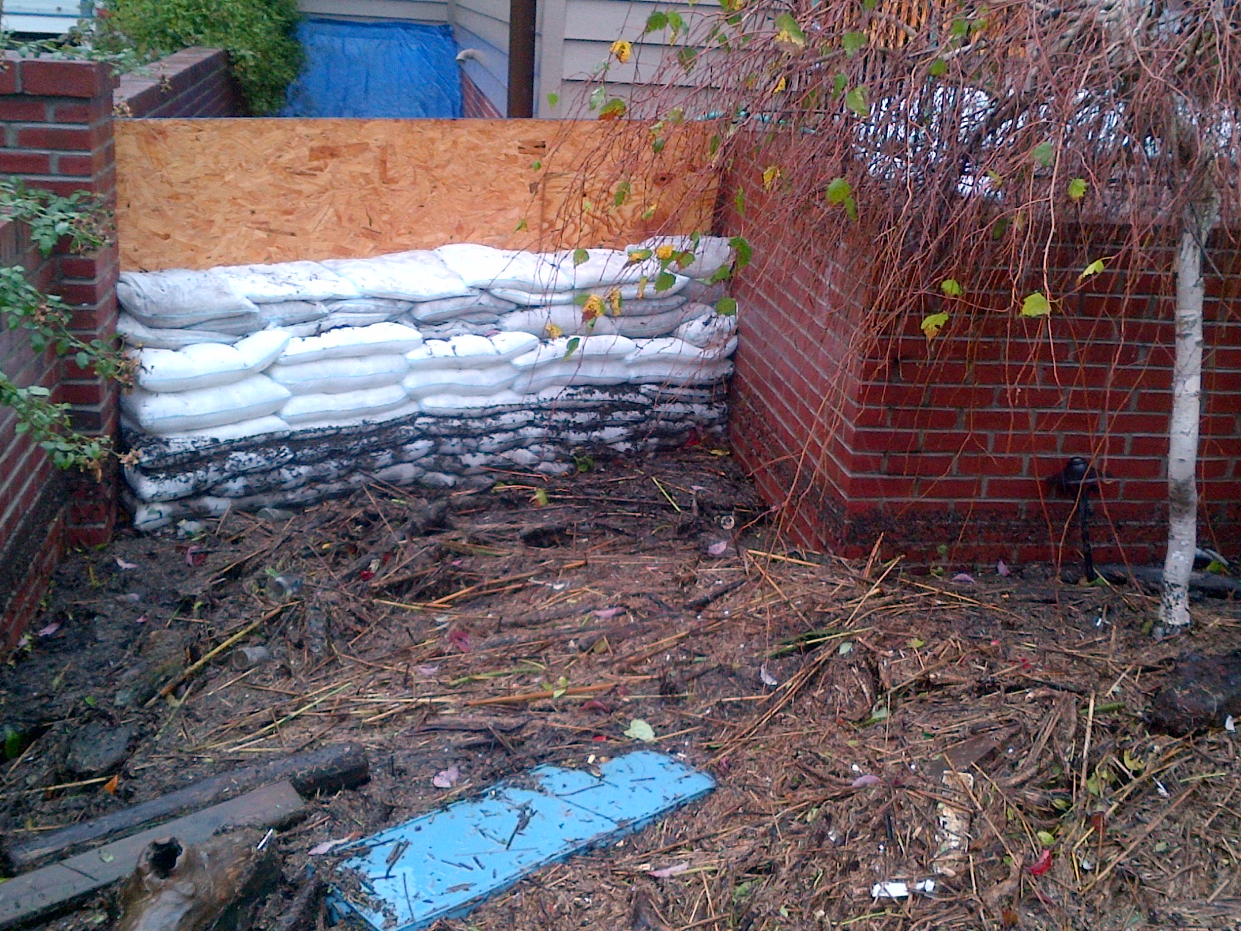 Hurricane Sandy Floodsax wall.jpg