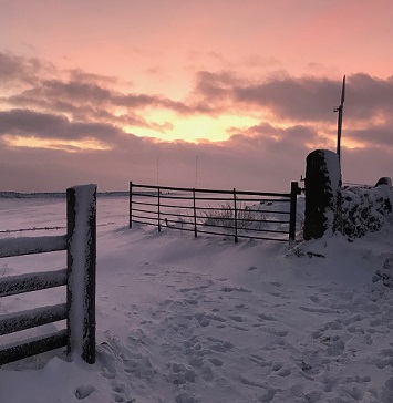 Fading winter light in the snow at Pole Moor near Huddersfield, West Yorkshire. Photo by @andyhirstpr
