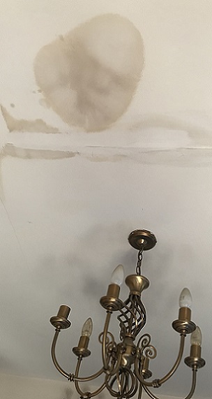 Nasty watermark on a ceiling caused by a leaking shower above. Is it just us, or does the watermark resemble a particularly angry skinhead?