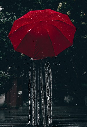 Red umbrella. Photo by Aline Nadai on free photo website Pexels.
