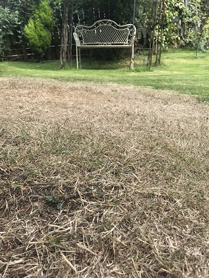 Parched grass can become impermeable to rainwater, leading to flash flooding. Photo by Andy Hirst from AH! PR